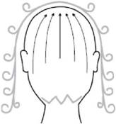 Массаж головы полезен для всех типов волос