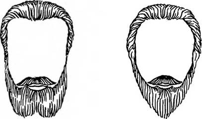 Борода овальной формы